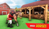 骑马马术跳台游戏中文汉化版（Mounted Horse Riding Show Jump） v1.0.1 screenshot 3