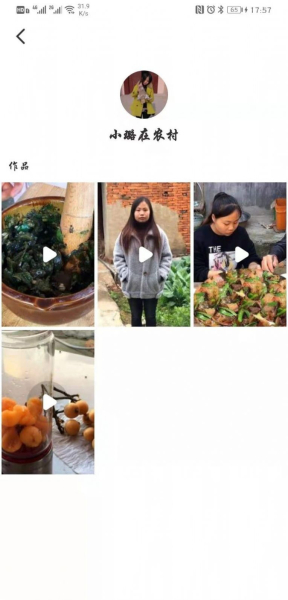 锤子视频软件官方版app