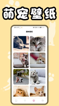 猫猫翻译器app安卓版 v1.1 screenshot 2