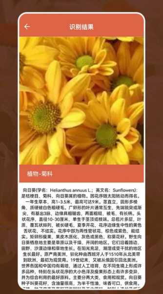 动植物识别大全app安卓版