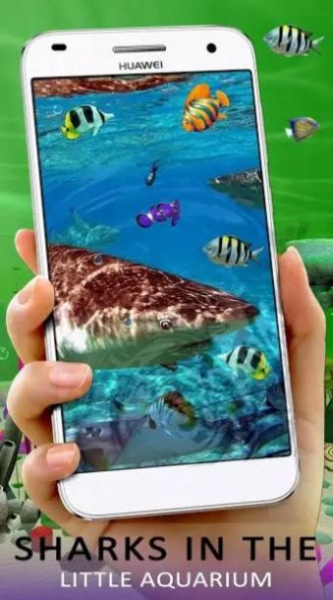 Aquarium LWP动态壁纸app官方版