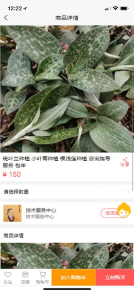 仲圣百草中医购物app手机版