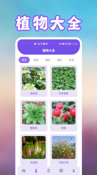 花朵识别动植物鉴定软件下载安卓版 v1.1 screenshot 3