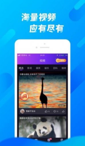 多刷刷短视频最新版app v1.0.2 screenshot 1
