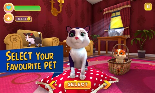 猫咪治愈屋游戏安卓手机版（Cute Kitten Simulating Game）