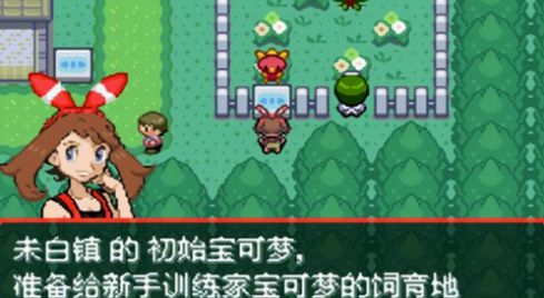 究极绿宝石5二周目金手指gba版下载 v1.0 screenshot 1