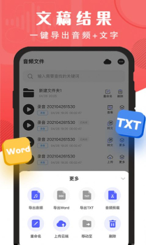 精准录音转文字app手机版 v2.0.23 screenshot 2