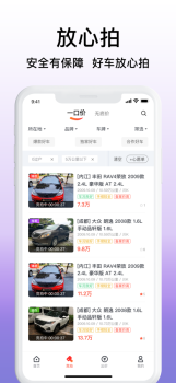 大象拍车二手车拍卖最新版app v1.0.0 screenshot 2