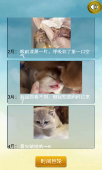 猫的一生重启模拟器游戏安卓版下载 v230 screenshot 1