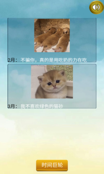 猫的一生重启模拟器游戏安卓版下载 v230 screenshot 3