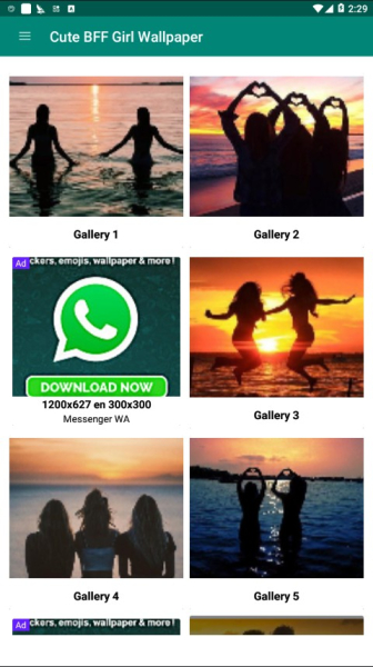 BFF Wallpaper壁纸软件app官方版