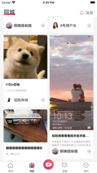 密函婚恋手机版app下载 v1.0.0 screenshot 2