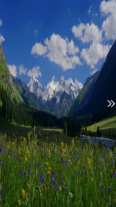 昭苏好地方客户端app v1.0.0 screenshot 1