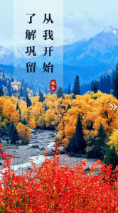 巩留好地方安卓版app v1.0.0 screenshot 2