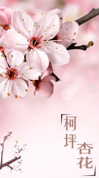 柯坪好地方客户端app下载