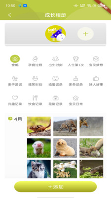 成长关注安卓版app