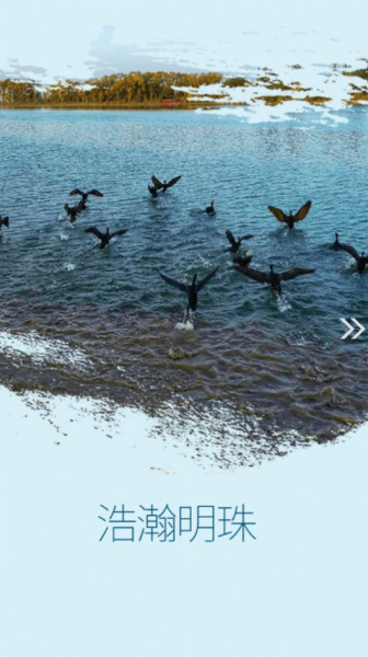 民丰好地方手机版app