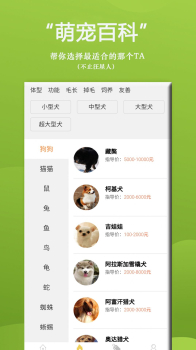 狗狗Bing商城手机版app v1.0.1 screenshot 1