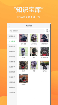 狗狗Bing商城手机版app v1.0.1 screenshot 3