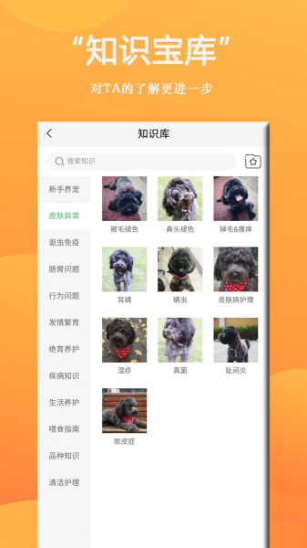 狗狗Bing商城手机版app