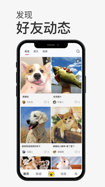 小宠书app官方版