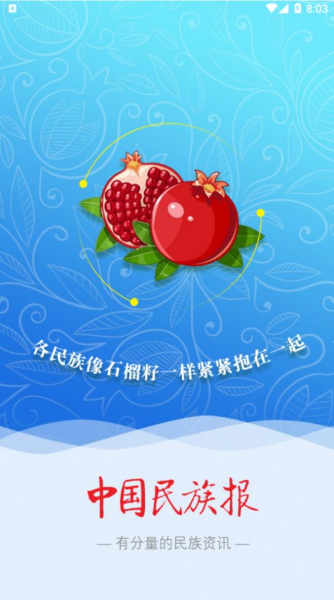 中国民族报客户端app