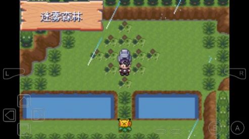 口袋妖怪仲夏夜之梦游戏官方版下载 v1.0 screenshot 2