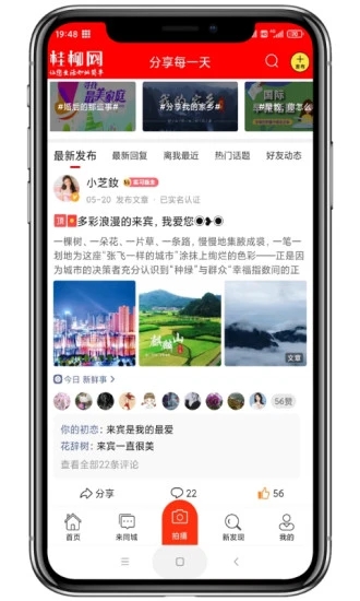 桂柳网app安卓版