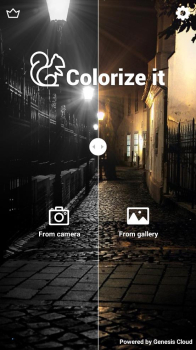 彩色黑白照片Colorize It app安卓版 v1.1.10 screenshot 4