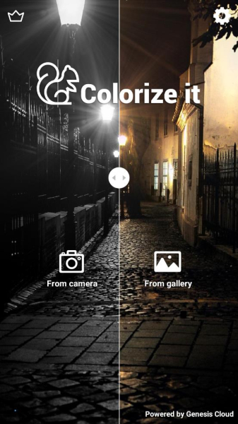 彩色黑白照片Colorize It app安卓版