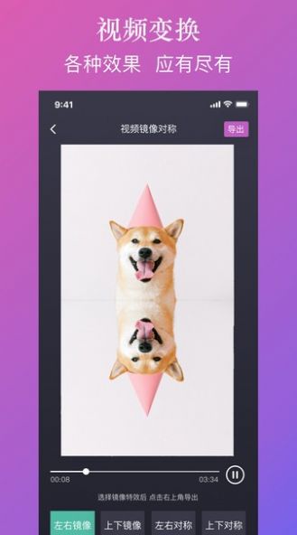 大神水印app手机版