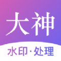 大神水印app手机版