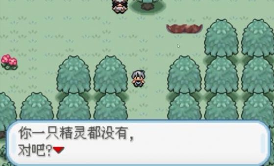 口袋妖怪火箭队中文版下载小次郎汉化 v1.0 screenshot 4