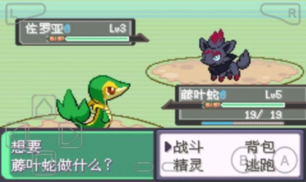 口袋妖怪漆黑的魅影50exbw金手指悟饭下载