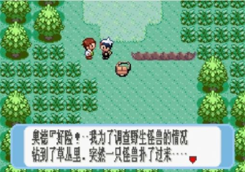 口袋妖怪终极红宝石721纪念版困难金手指下载 v2.0.3 screenshot 2