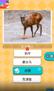 臭弟弟冲鸭游戏红包版 v1.0 screenshot 1