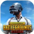 PUBGapk app官方版游戏