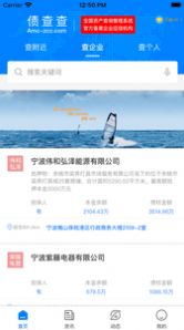 债查查app官方版下载安装 v1.0.0 screenshot 4