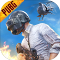 pubgԼʷios