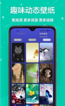 主题君桌面美化软件app v1.0.0 screenshot 2