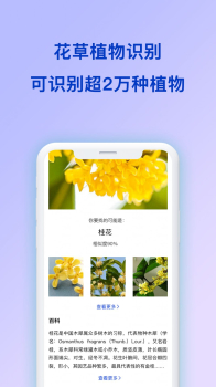 扫描识图手机版app v1.0.3 screenshot 3