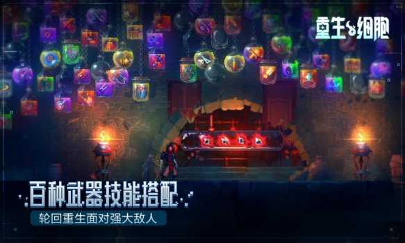 重生细胞2.4.7无邪版最新下载(Dead Cells) screenshot 2