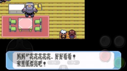 口袋妖怪红宝石全随机下载