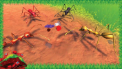 火蚁战争模拟游戏安卓版下载（Ant Insect World Sim） v0.2 screenshot 3