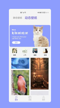 猫猫大作战动态壁纸app手机版 v1.1 screenshot 2