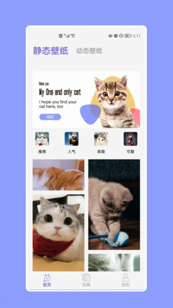 猫猫大作战动态壁纸app手机版