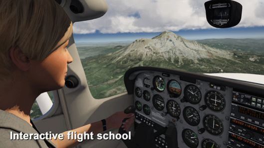 Infinite flight汉化中文版安卓下载 v17.12.0 screenshot 1