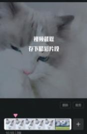 2023手机视频编辑王app官方下载 v1.1.6 screenshot 3