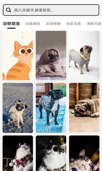 甜美小组件最新版app