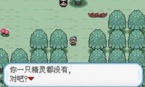 口袋妖怪火箭队（西班牙）改版中文汉化版下载 v1.0 screenshot 2